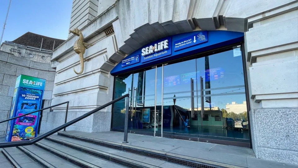 Advance Ticket: SEA LIFE London Aquarium – Entry Ticket - Image 1